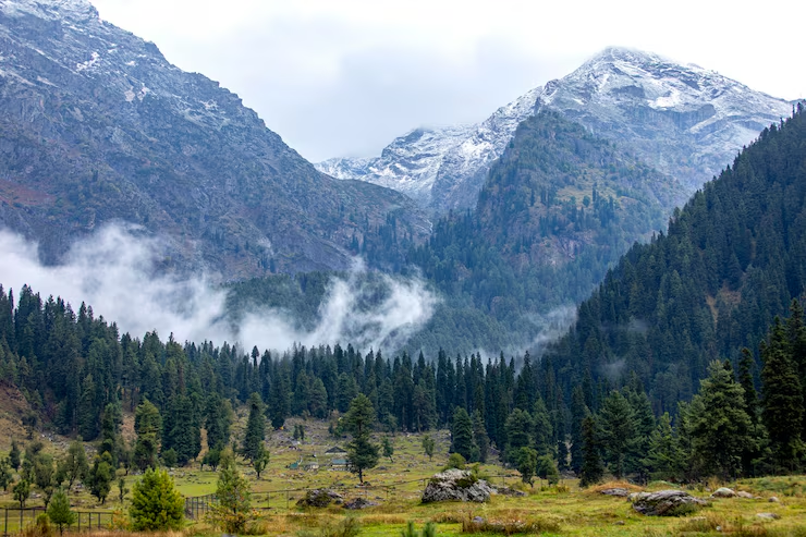 Aru Valley